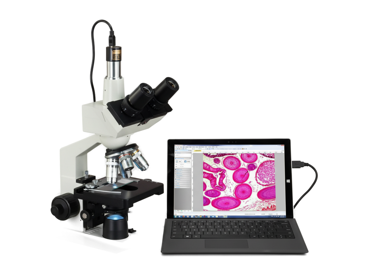 Digital Compound Microscope with Imaging System